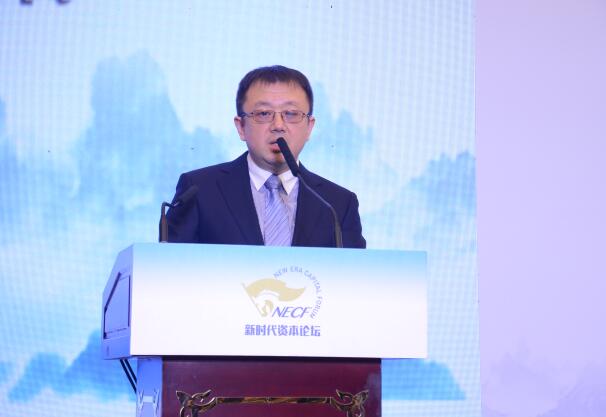 長盛基金管理有限公司副總經理王寧